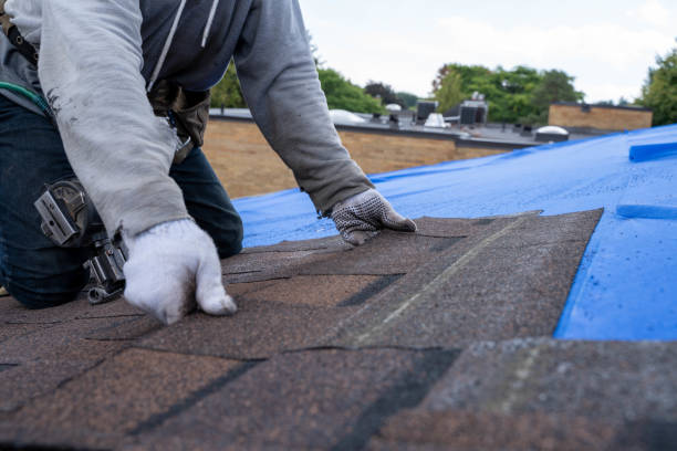 Best Metal Roofing Contractor  in Hrison, AR