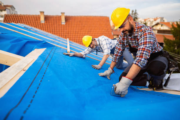 Best Emergency Roof Repair  in Hrison, AR